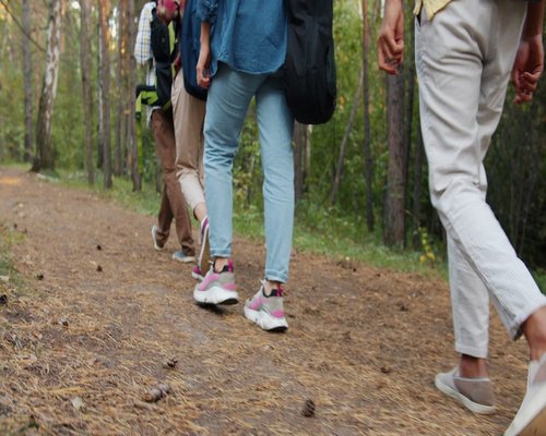 Close up of modern comfortable walking shoes on a nature trail